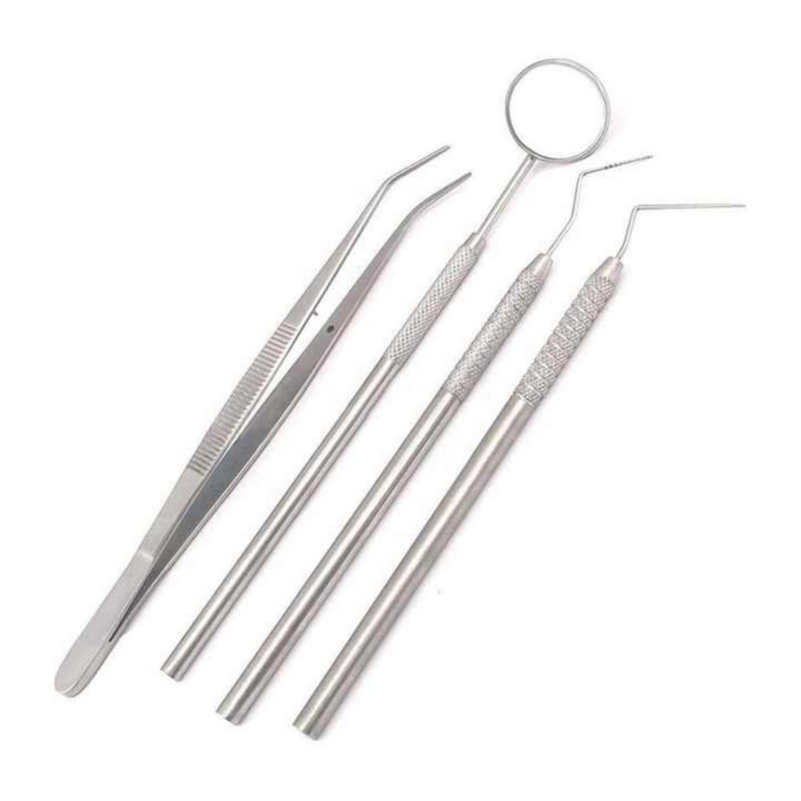 13 4 PCs Dental Examination Kit (Stainless Steel) - Image 1