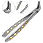 Dental Extracting Forceps #F2 Diamond Dusted Gold Handle