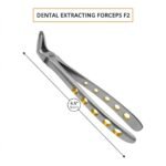 Dental Extracting Forceps #F2 Diamond Dusted Gold Handle - Image 3