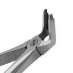 Dental Extracting Forceps #F2 Diamond Dusted Gold Handle - Image 4